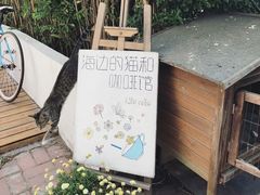 -海边的猫和咖啡馆