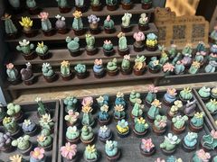-大理床单厂艺术区