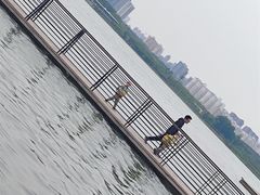 -北龙湖湿地公园