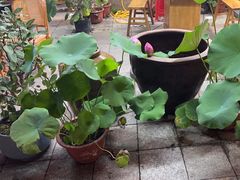 -赵美丽·重庆社区火锅·直营店(火车东站·中豪国际店)