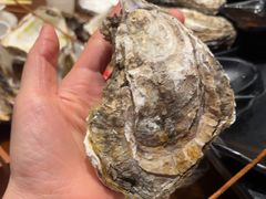 -烧蠔帮·生蚝海鲜牌档(观海店)