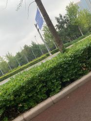 -HEYAN长风荷妍专业脱毛美肤
