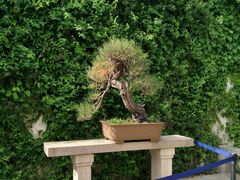 -晓庄学院-食堂