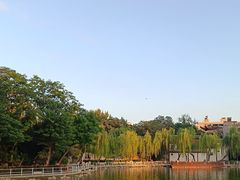 -莲湖公园