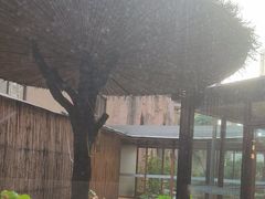 -忆江南·临江鱼馆