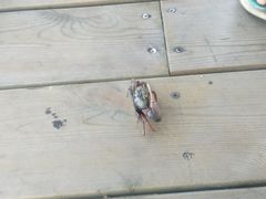 -北海金海湾红树林生态旅游区