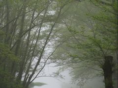 -西溪南古村落