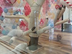 -袖虎·猫馆(体育西路店)