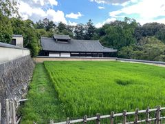 -奈良公园