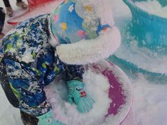 -世界之窗阿尔卑斯冰雪世界