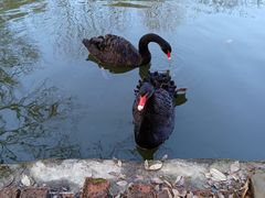 -南山风景名胜区