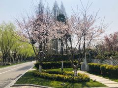 -梅林春晓花园餐厅
