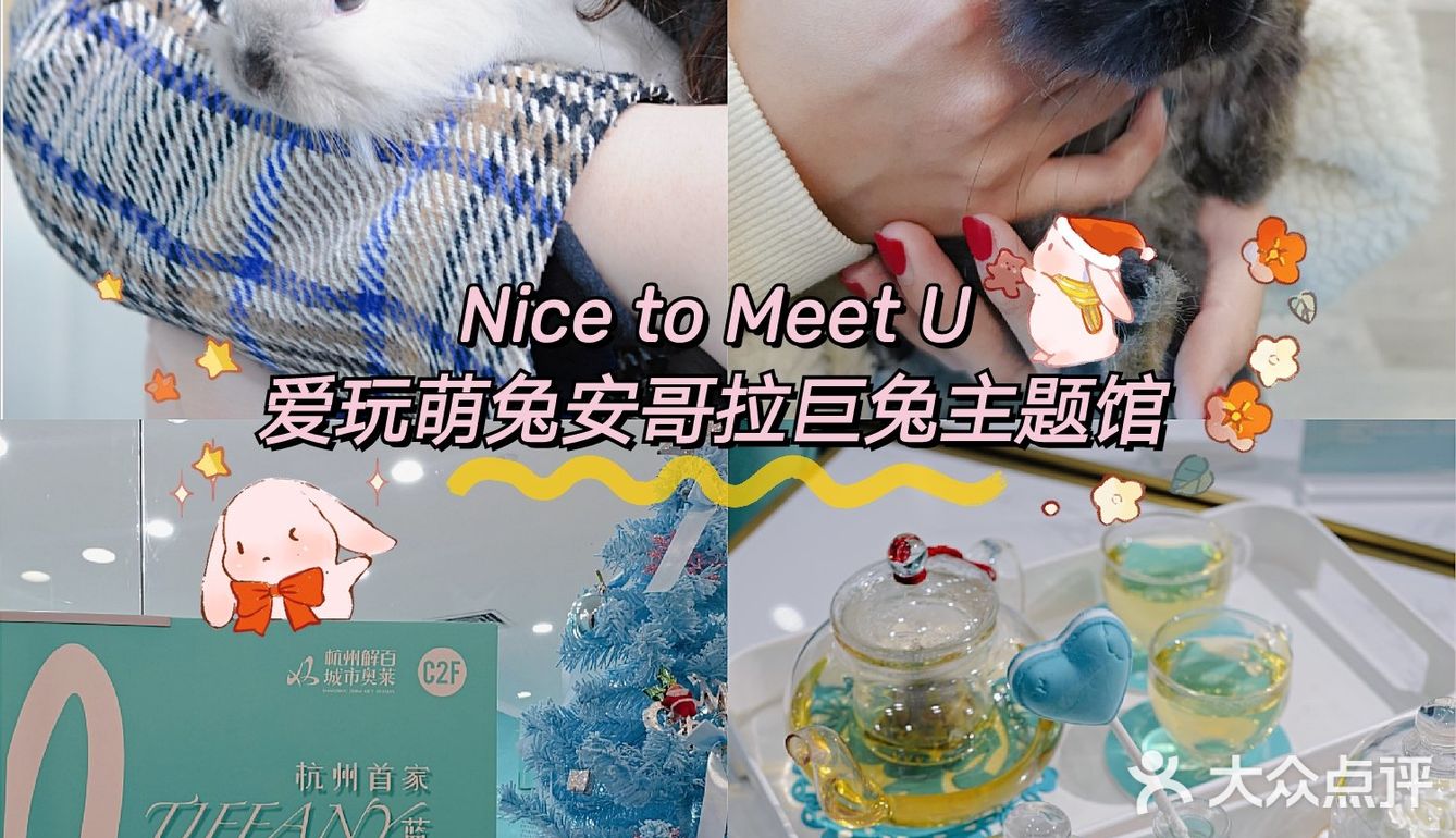 杭州探店🌈独特の兔子主题馆🐰瞬间满足少女心
