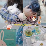 杭州探店🌈独特の兔子主题馆🐰瞬间满足少女心