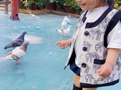 -西安秦岭野生动物园