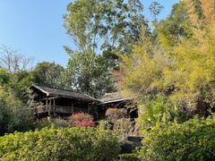 -深圳国际园林花卉博览园