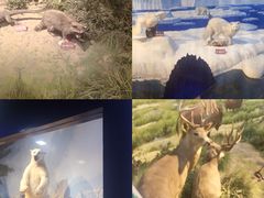 -陕西自然博物馆