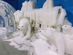 -宁波冰雪大世界(北仑区)