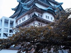 -名古屋城