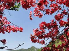 -木兰云雾山