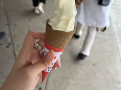 -富豪雪糕车流动点(尖沙咀店)