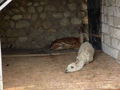 -丽泽山庄·生态怀柔菜·虹鳟鱼(红螺寺店)