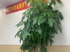 -郑远元·修脚·足道(华茂苑店)