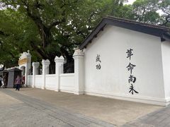 -长洲岛