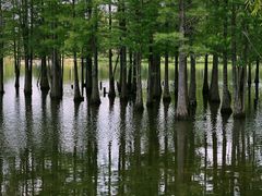 -白鹭湾湿地公园