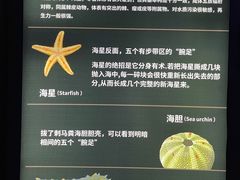 -大连圣亚海洋世界