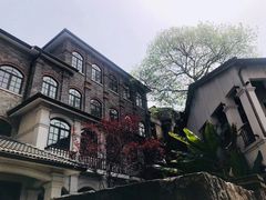 -重庆自然博物馆(新馆)