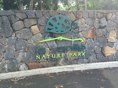 -西沃古尔·拉姆古兰爵士国际机场