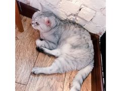 -不舍昼夜咖啡馆
