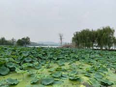 -云龙湖旅游景区