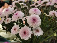 -芭莉与彩虹西餐厅(成都合生汇店)