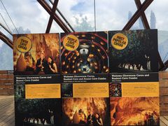 -怀托摩萤火虫洞