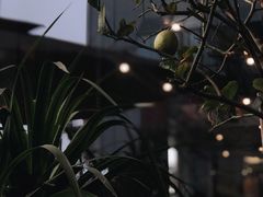 -LIN COFFEE CO(龙珠达店)