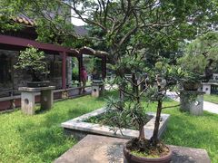 -碧江金楼