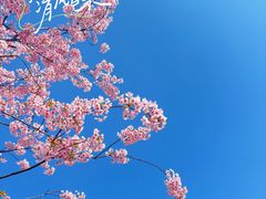 -新江湾城公园