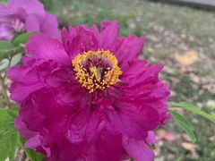 -合肥三国新城遗址公园