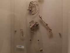 -辽宁省博物馆
