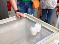 -洪馨椰子