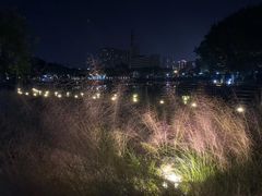 -映月湖公园