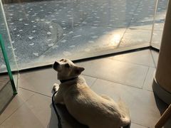 -星巴克(中远两湾城店)