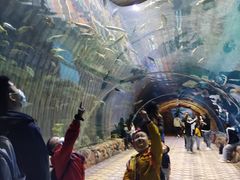 -华夏文旅海洋公园