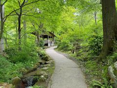 -三千院