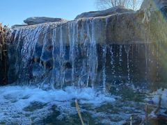 -大兴滨河森林公园