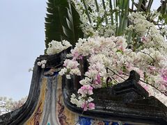 -深圳国际园林花卉博览园