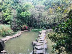 -云溪植物园