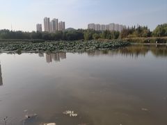 -前关湿地公园